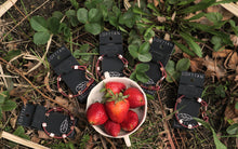 Load image into Gallery viewer, Fallon Strawberry Bracelet
