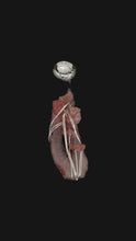 Load image into Gallery viewer, Raspberry Cherry Bomb